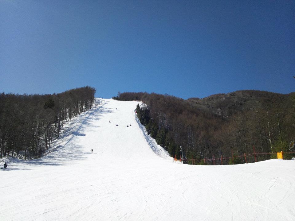 ski6.jpg