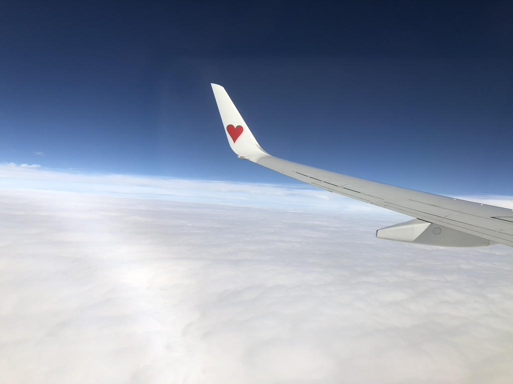 okinawa_1.jpeg